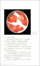 国色生香的读后感大全
