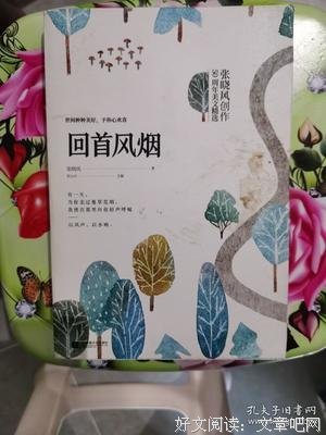 回首风烟读后感精选