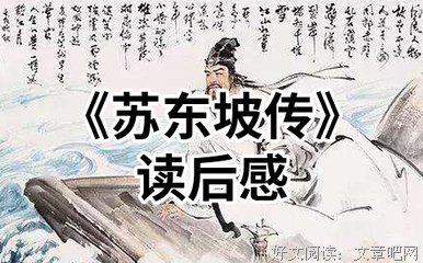 屋顶上的小丑的读后感大全