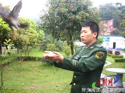 《鹰隼大队》经典观后感1000字