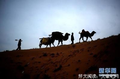 《爱与痛的边缘》经典影评集