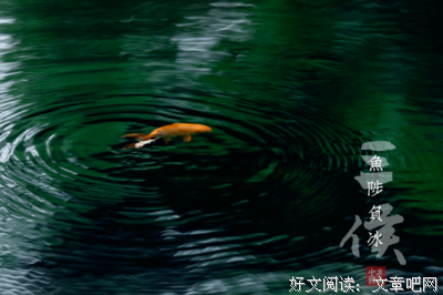 《隐居的一年》观后感摘抄