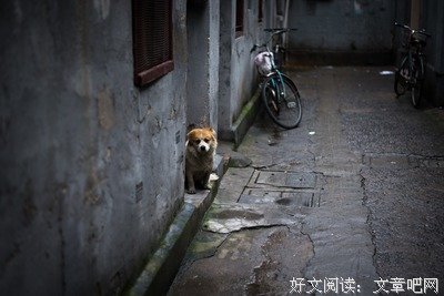 《外滩佚事》的观后感大全