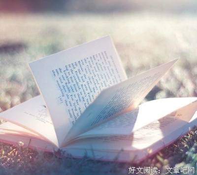 想象一朵未来的玫瑰读后感摘抄