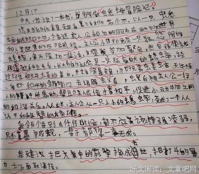 《她的第二人生》读后感锦集