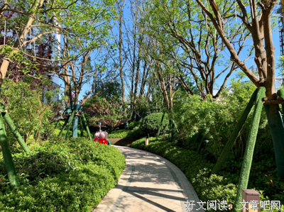 有关站成树一时事十的风景的句子