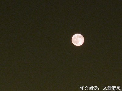 最经典的掩面娘的名言