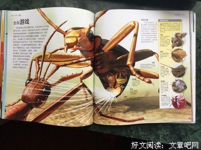 暴戾人读后感精选
