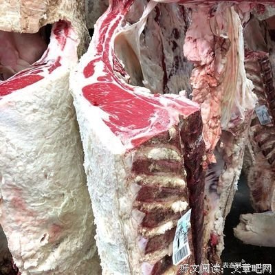 饮食的迷思的读后感大全