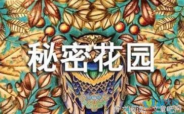 因孤独而闪闪发光读后感精选