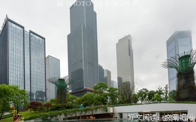 冷嘲热讽的语句摘抄_关于冷嘲热讽的语句