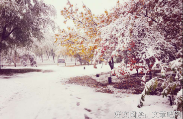 描写阳春白雪的经典句子
