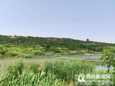 《铁流1949》影评精选