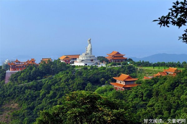 《观音山》经典影评集