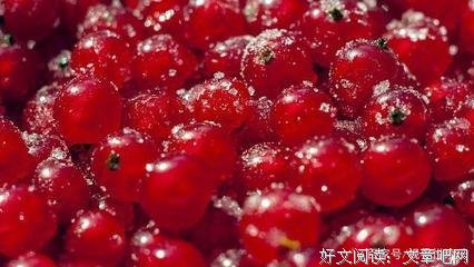 《无间有爱》观后感摘抄