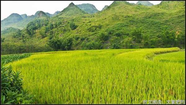 《沃土》的影评大全