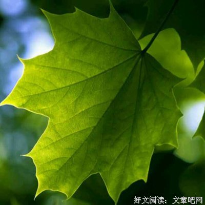 北归记读后感锦集