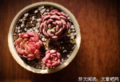 关于磕磕碰碰的唯美语录
