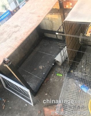 《塑料成瘾》经典影评1000字