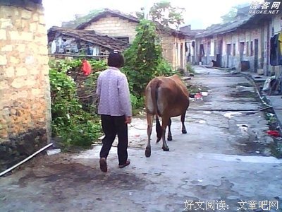 《留他如梦，送他如客》的句子