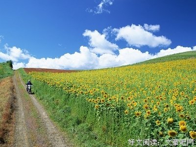 风一触的句子