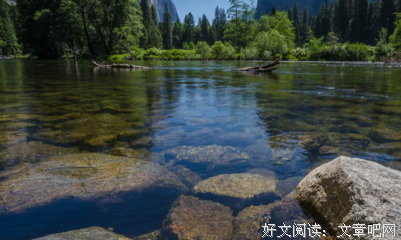 《小花集》优美的句子