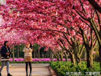 《梅林传奇 第二季》影评100字