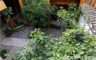 《同是陌生人》经典影评集