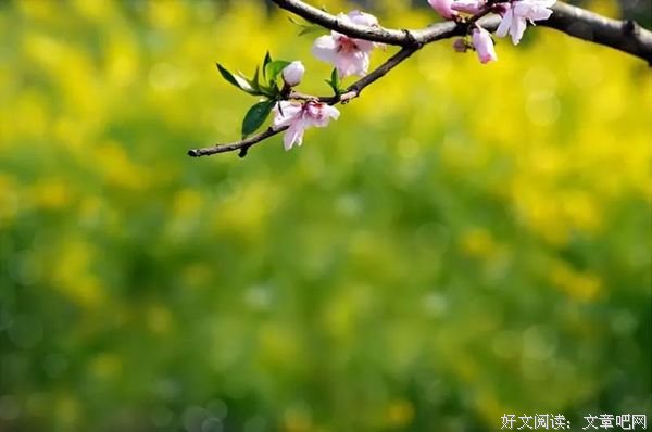 二月春暖，三月花开