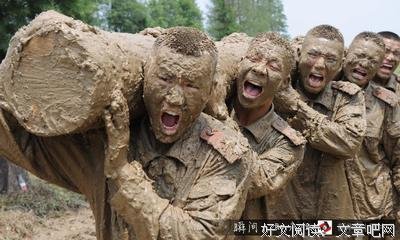 平成十二年读后感摘抄