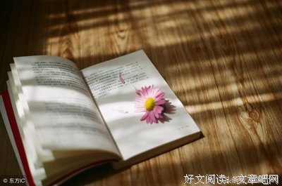 另类唐朝读后感1000字