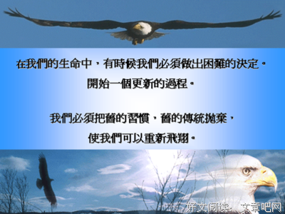 什么值得吃，什么值得做的读后感大全