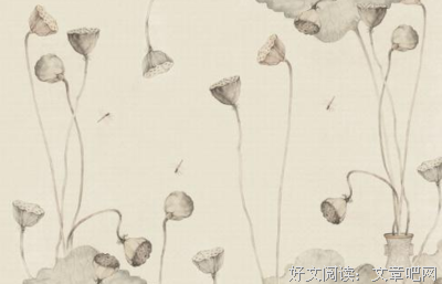 孤独是一个人的清欢的读后感大全