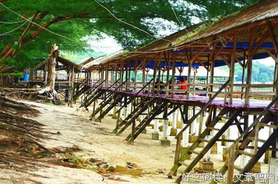 《海龟奇妙之旅》经典影评集