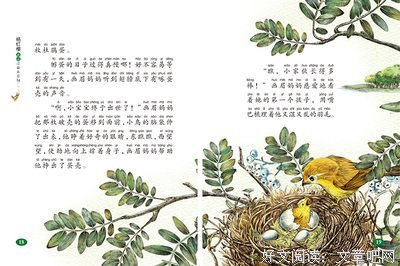 小青蛙的大发现读后感锦集