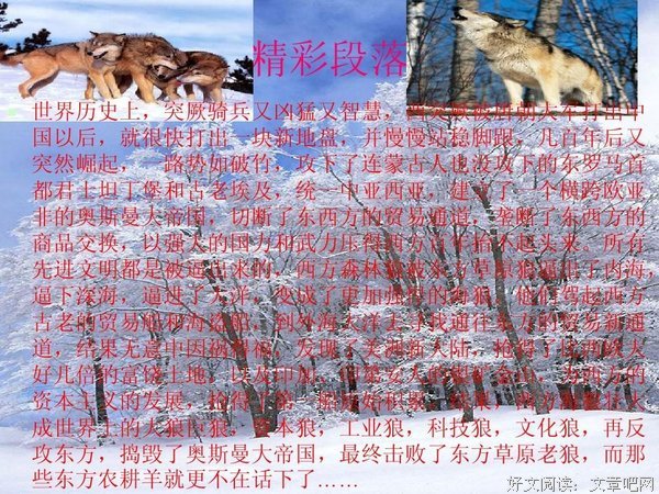 《狼图腾》的影评大全