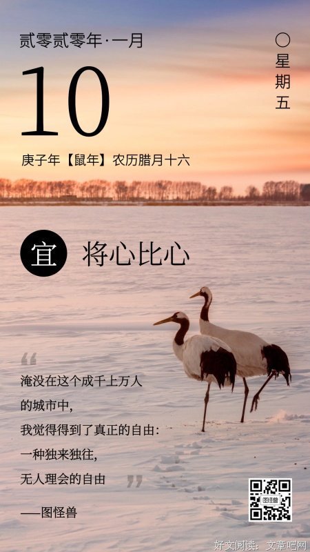 鸡汤句子