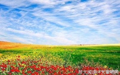 彷徨好词好句