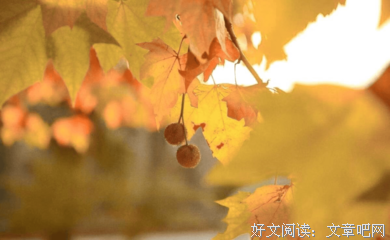 诗与我自事之将可