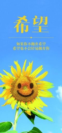 名优美的句子
