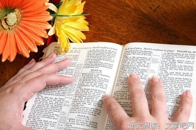作文的优美句子