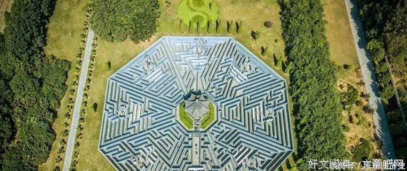 关于情发利种的句子
