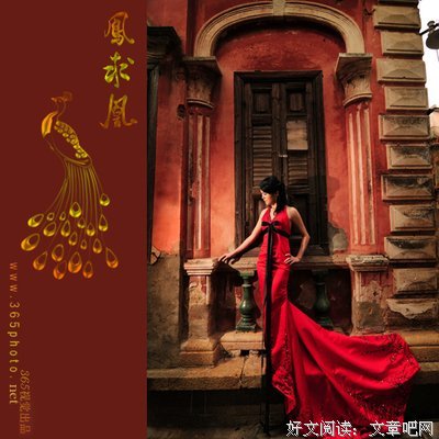 关于凤求凰的优美句子