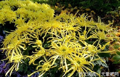 最新的木木一名言大全