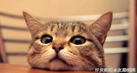 有关李七夜15句经典名言