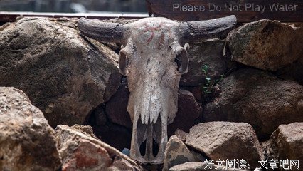 《不可饶恕》经典影评1000字