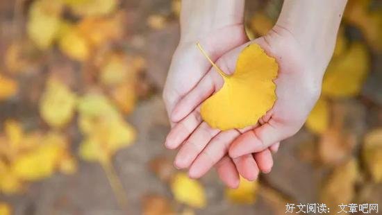 半生已过，学会放过