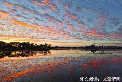 二十一岁以及我的余生的读后感大全