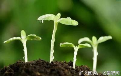 《大学之道：大学生必修的六堂职业成长课》的读后感大全