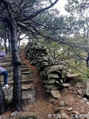《丈量世界》读后感摘抄